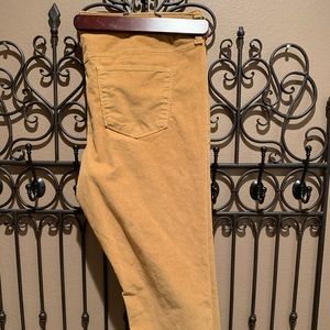 Universal Thread 🧵 Cord Slacks